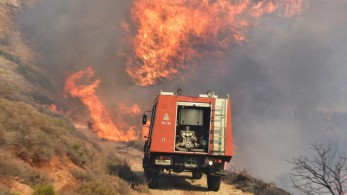 Σε 49 ανήλθαν οι δασικές πυρκαγιές το τελευταίο 24ωρο