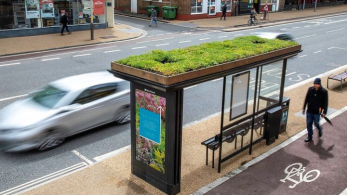 Λέστερ: “Ζωντανές στέγες” στις στάσεις λεωφορείων- Τις κατοικούν οι μέλισσες