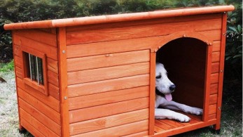 Καβάλα: Έλληνες και ξένοι εθελοντές κατασκευάζουν σπιτάκια για σκύλους από ανακυκλώσιμα υλικά