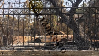 Το tomanifesto.gr στη Βαρυμπόμπη (vids& pics)