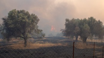 Ρόδος: Μάχη με τις αναζωπυρώσεις, προληπτική εκκένωση του χωριού Μαριτσά