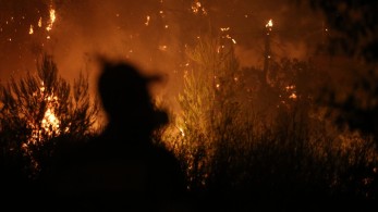 Νίκος Γ. Σακελλαρόπουλος: Αθλιότητα, χυδαιότητα, μικρότητα