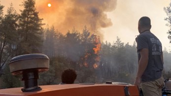 Κέρκυρα: Υπό μερικό έλεγχο η φωτιά στο Χαλικούνα