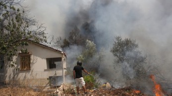Κάρυστος: Πυρκαγιά στα Μεσοχώρια