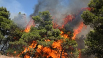 Αττική: Εκκενώνονται Σταμάτα και Ροδόπολη – Μπήκε στο Πευκόφυτο η φωτιά