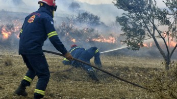 Κομοτηνή: Πυρκαγιά σε δασική έκταση στην Νυμφαία