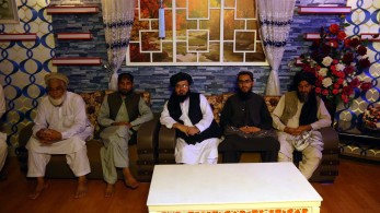 Οι Ταλιμπάν, οι εγχώριοι «Ταλιμπάν» και οι κατσαρίδες