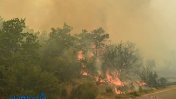 Σε εξέλιξη οι φωτιες σε Μεσσηνία, Αρκαδία και Λακωνία