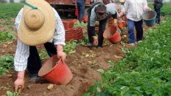 Παρατείνεται η απασχόληση των εργατών γής