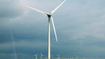 ΕΛΕΤΑΕΝ: Τα αιολικά πάρκα προστατεύουν τα δάση