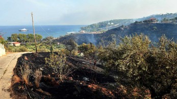 Πυρκαγιές σε Βασιλίτσι-Βλαχόπουλο-Καστάνια: Ξεκίνησαν να επιχειρούν τα εναέρια μέσα