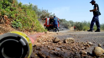 Καλαμάτα: Καλύτερη η εικόνα με τις φωτιές σε Βασιλίτσι και Βλαχόπουλο