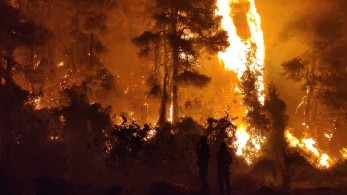 Εύβοια: Προσαγωγή ενός υπόπτου για εμπρησμό στο Ασμήνιο