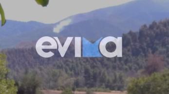 Φωτιά στη βόρεια Εύβοια: Αναζωπύρωση στο χωριό Τρούπι