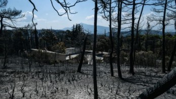 Τεράστιο κύμα αγάπης για τους πυρόπληκτους