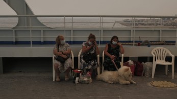 Αλ. Δημητρακόπουλος, καθηγητής δασικών πυρκαγιών: Σωστά έγιναν οι εκκενώσεις (video)