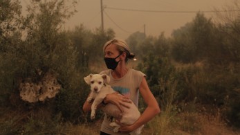 Ένωση Ποινικολόγων και Μαχόμενων Δικηγόρων: «Δεν θα αναλάβουμε την υπεράσπιση κανενός εμπρηστή»