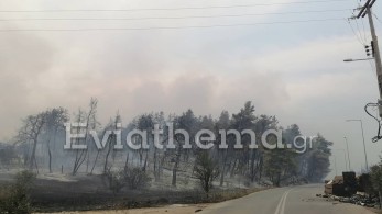 Ευβοια-Τσαπουρνιώτης: Ολοσχερής καταστροφή – Σε Κήρινθο και Στροφυλιά οι φλόγες