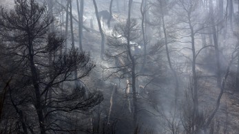 Φωτιά στην Αττική: Τιτάνια μάχη με τις φλόγες και τις αναζωπυρώσεις