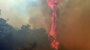 Κεφαλονιά: Σύλληψη για εμπρησμό