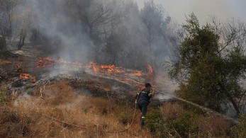 Φωτιά-Αν. Μάνη: Στην ευρύτερη περιοχή του Κρυονερίου επιχειρούν οι πυροσβεστικές δυνάμεις