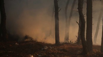 “Ελπίδα” στην Αττική μετά τη φωτιά: Υπάρχει “ενεργό” δάσος