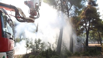 Φωτιά στα Βίλια: Απομακρύνθηκαν οι κάτοικοι πέντε οικισμών