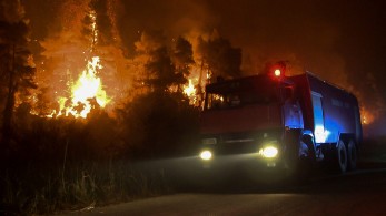 Πυρκαγιές Ιταλία: Καλαβρία και Σικελία ζήτησαν  να κηρυχθούν σε κατάσταση έκτακτης ανάγκης -Πέντε άνθρωποι έχασαν την ζωή τους