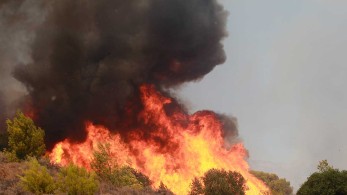Δήμαρχος Μάνδρας για φωτιά στα Βίλια: “Υπάρχουν ενδείξεις για εμπρησμό”