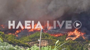 Ηλεία: Εντοπίστηκε ύποπτος για εμπρησμό