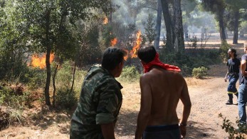 Φωτιά στα Βίλια: Μάχη κοντά στους οικισμούς Οινόη και Πανόραμα