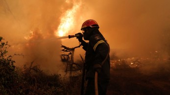 Σταθερό το νότιο μέτωπο στην βόρεια Εύβοια – Κρίσιμο το μέτωπο στις Καματριάδες