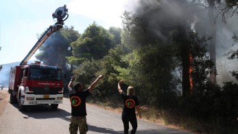 Φθιώτιδα: Συναγερμός για φωτιά κοντά στα διόδια Πελασγίας
