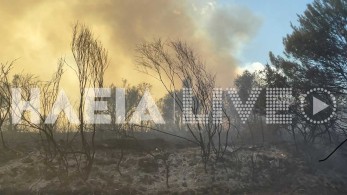 Ηλεία: Σε εξέλιξη τέσσερα πύρινα μέτωπα