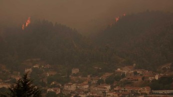 Εύβοια: Μάχη με τις αναζωπυρώσεις σε Γούβες και Αρτεμίσιο