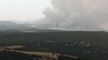 Φθιώτιδα: «Ανάσα» μετά τον νυχτερινό πύρινο εφιάλτη