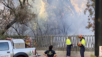 Ιταλία: Πυρκαγιά κατέστρεψε τον πευκώνα της Πεσκάρα-Εκκενώθηκαν