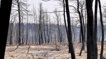 O τραγικός απολογισμός των πυρκαγιών: Στάχτη 76.150 στρέμματα στην Αττική και 197.940 στην Εύβοια