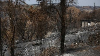 Λιβανός: Άμεσα οι αποζημιώσεις στους πληγέντες αγρότες και κτηνοτρόφους