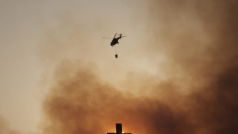 Φωτιά στην Αττική: Δίωξη για εμπρησμό στο Κρυονέρι σε βάρος 43χρονου