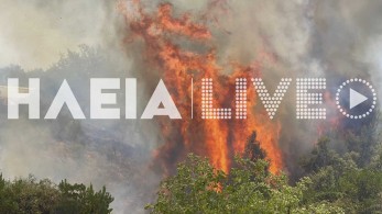 Ηλεία: Μάχη με τις φλόγες σε τρία μέτωπα