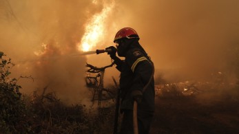 Εύβοια: Μικρές ζημιές σε σπίτια από το πέρασμα της φωτιάς από το Πευκί