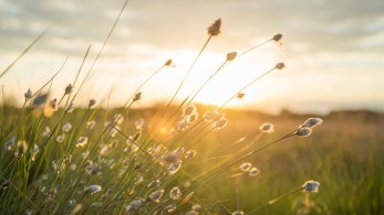 Καιρός: Έως 42 βαθμούς η θερμοκρασία-Πού θα βρέξει