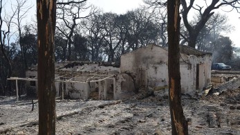 Σύσκεψη για τη στήριξη των πληγέντων από την πυρκαγιά στην Αιγιάλεια