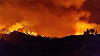 Έβαζα φωτιές γιατί μου άρεσε να βλέπω φλόγες και καπνό, λέει ο 14χρονος εμπρηστής στον Θεολόγο