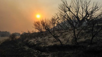 Μάχη στη Ρόδο για την κατάσβεση της φωτιάς-Αναζωπυρώθηκε το μέτωπο της Ψίνθου