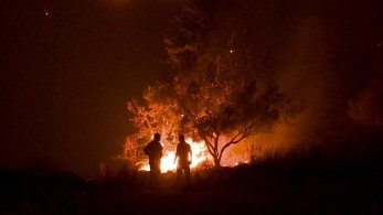 Φωτιά στην Εύβοια: Εκκενώθηκαν τα χωριά Αμέλαντες, Κεραμειά, Κεχριές