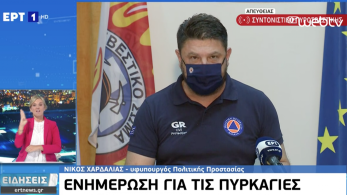 Νίκος Χαρδαλιάς: Εχουμε 56 ενεργές πυρκαγιές