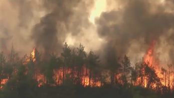 Μαύρισε και η θάλασσα στην Εύβοια (pics)