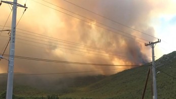 Μαίνεται η φωτιά στα Βίλια – Μεγάλη μάχη με τις φλόγες δίνουν δυνάμεις της πυροσβεστικής
